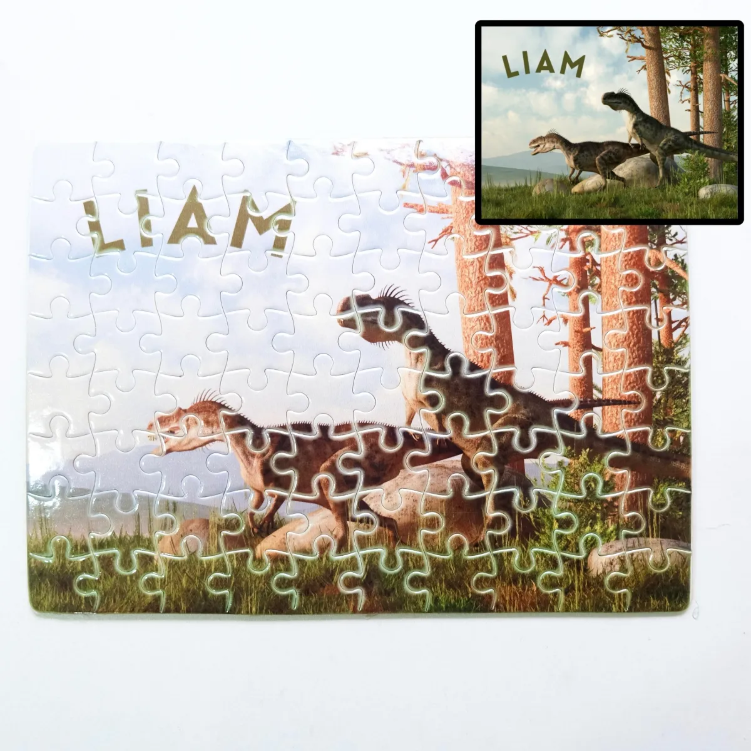 Customized Jigsaw Puzzle
